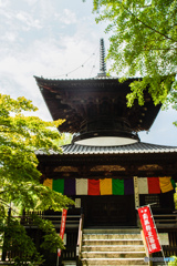 夏気、足利鑁阿寺「夏詣で」