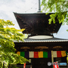 夏気、足利鑁阿寺「夏詣で」