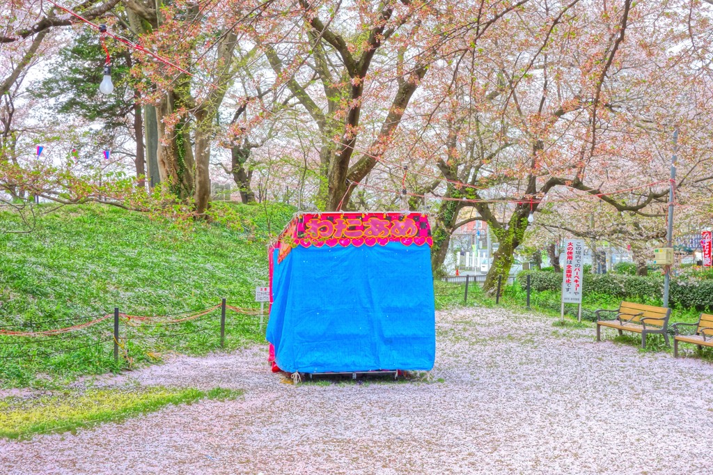 惜春華（５）「祭りのあと」