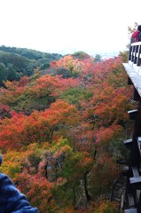 京都　清水寺５－２「紅葉」