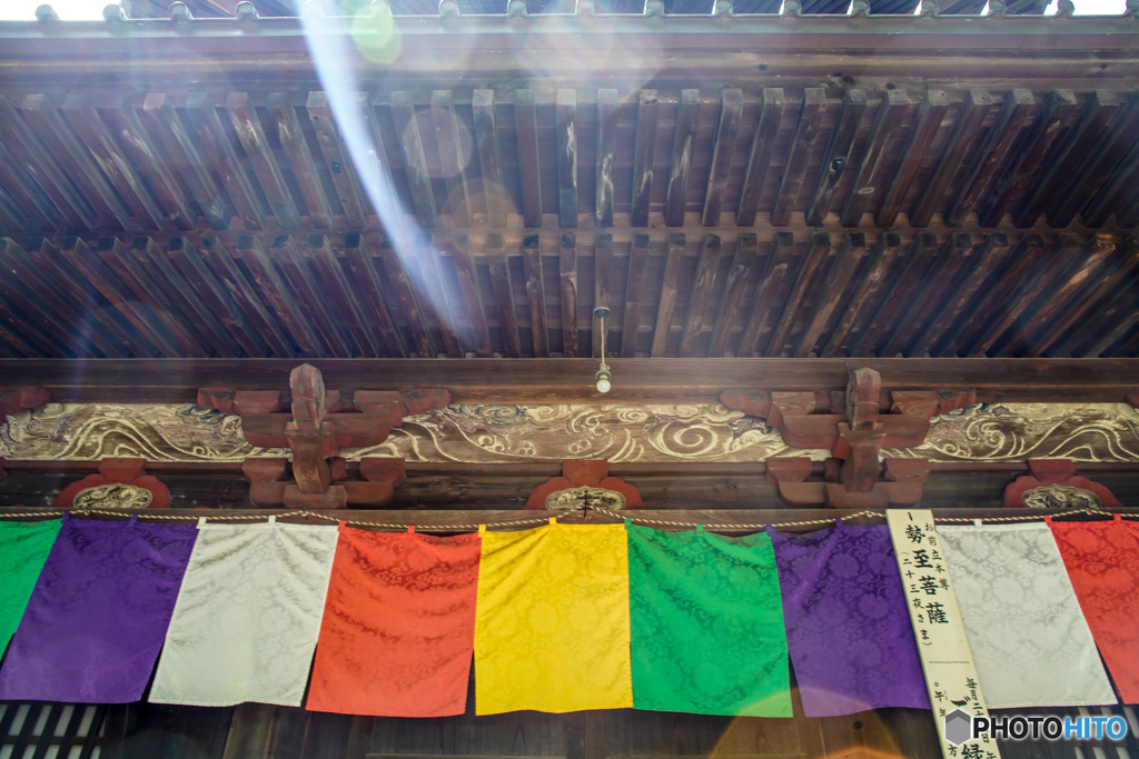 夏気、足利鑁阿寺「夏五色」