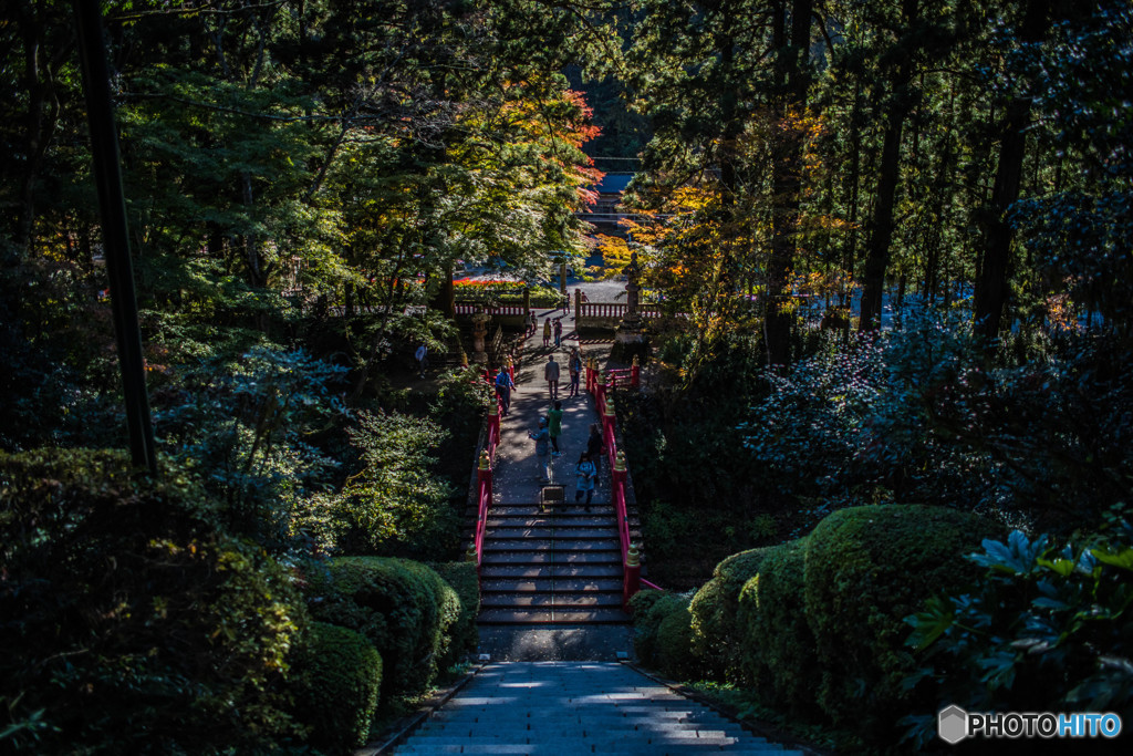 錦秋雲巌寺（５）