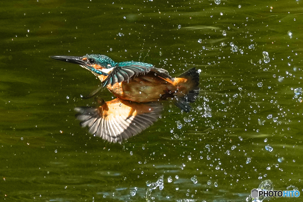 いつもの公園「機械力」（５）