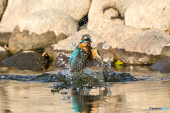 いつもの公園「ライブ！」（４）