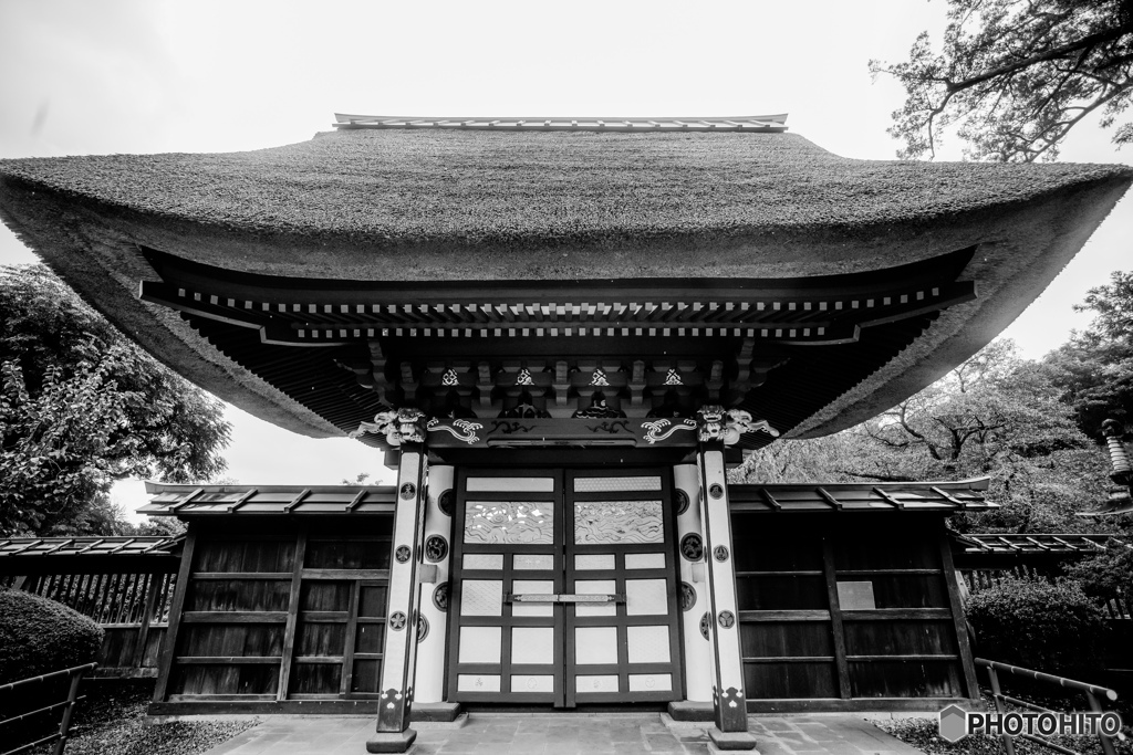 唐門女構え（鹿沼医王寺）