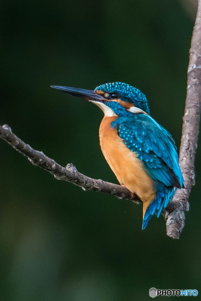 隣町の公園「佇む」（３）