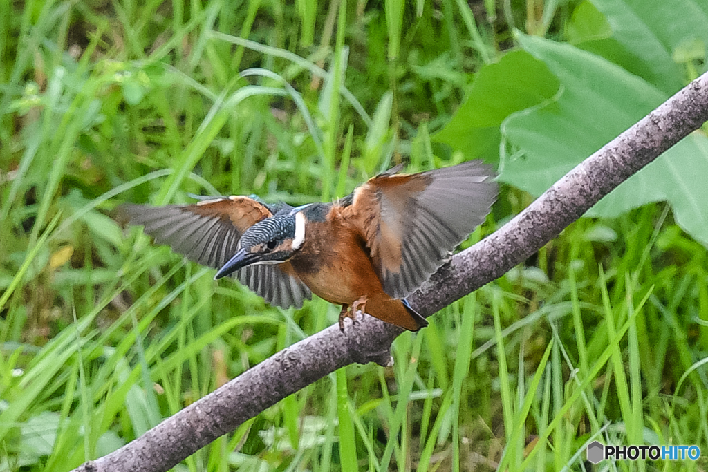 隣町の公園で（１）