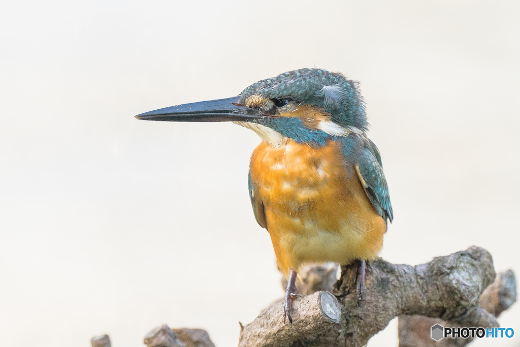 いつもの公園「８メートル」