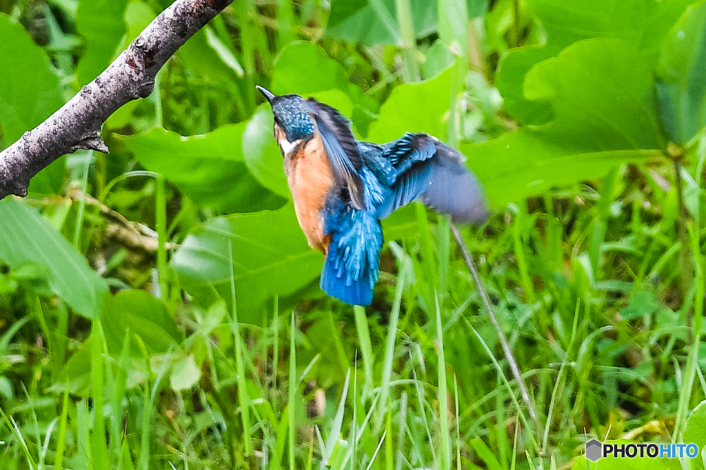 隣町の公園で（３）
