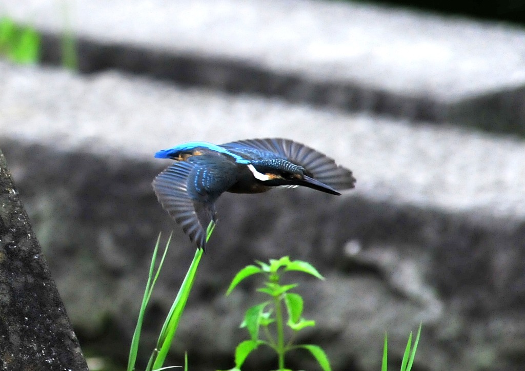 カワちゃん三様　３－２「２。」