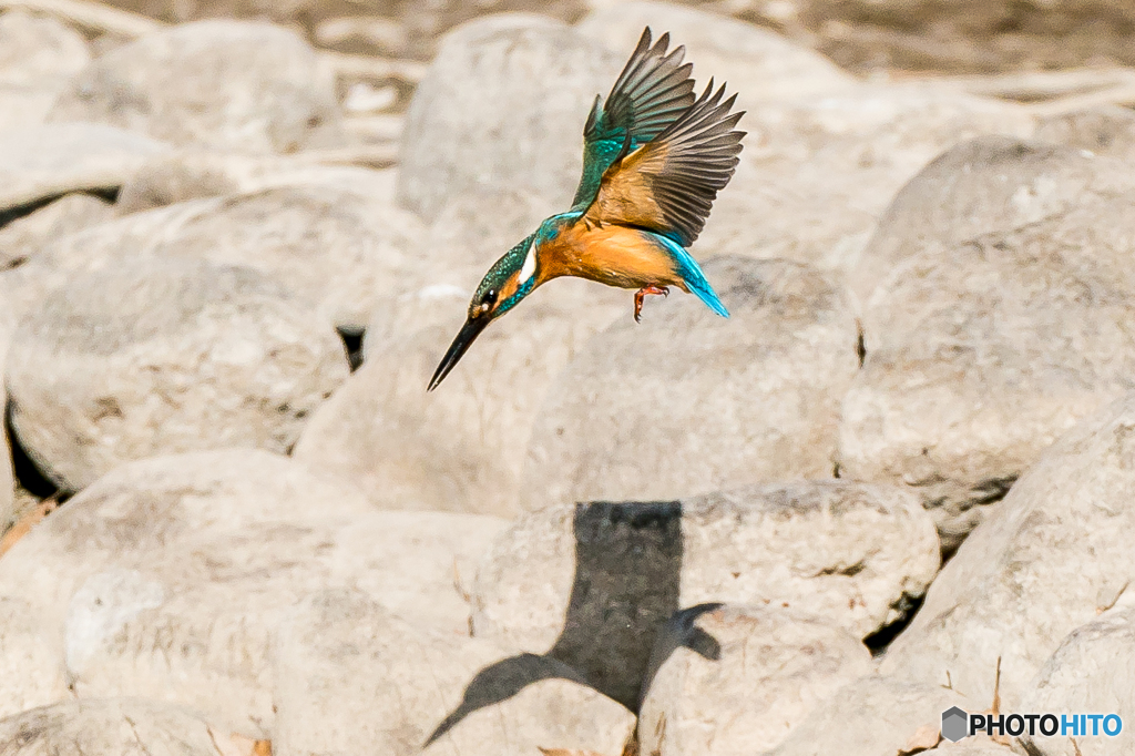 いつもの公園「影踏み遊び」（２）