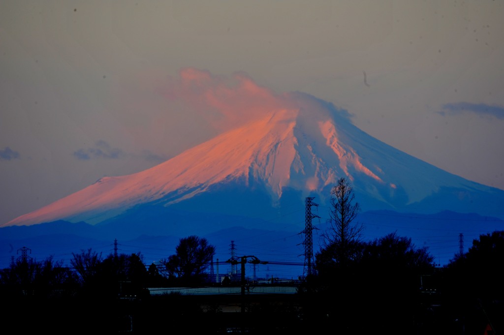 新年明けましておめでとうございます。「富士初春」