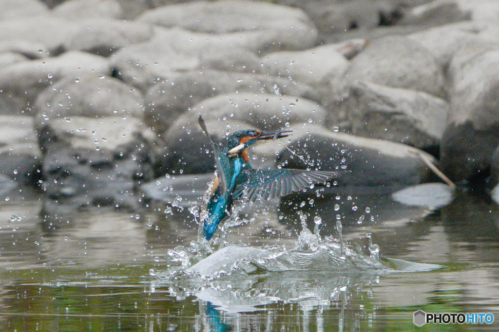 いつもの公園「獲ったどォ～」