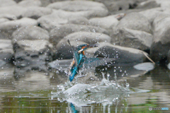 いつもの公園「獲ったどォ～」