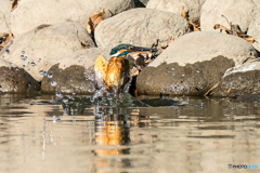 いつもの公園「左良し」（１）