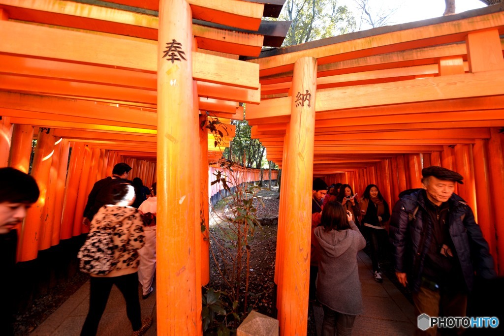 千本鳥居「右行くも、左行くも。」