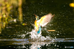 いつもの公園「輝きⅡ」