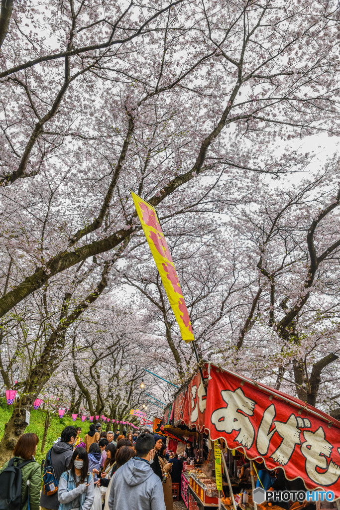 桜の樹の下で（埼玉県幸手市権現堂公園）（２４）「あげもち人気」