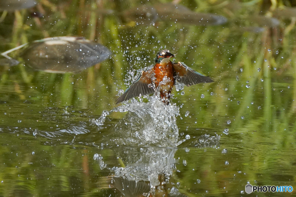 いつもの公園「水柱」（１）