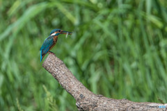 いつもの公園「新しい居場所、気に入っていただけたでしょうか？」（５）