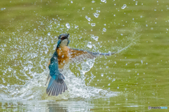 いつもの公園「浮上」シリーズ（Ⅳ）（２）