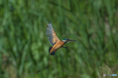 いつもの公園「新しい居場所、気に入っていただけたでしょうか？」（6）