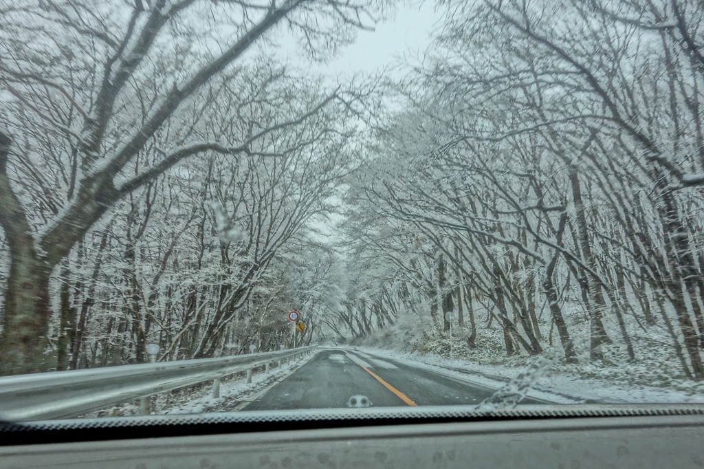 4月13日「雪」（１）