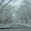 4月13日「雪」（１）