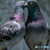 ＬＯＶＥ