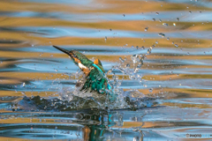 いつものッ公園「採光の水」（１）