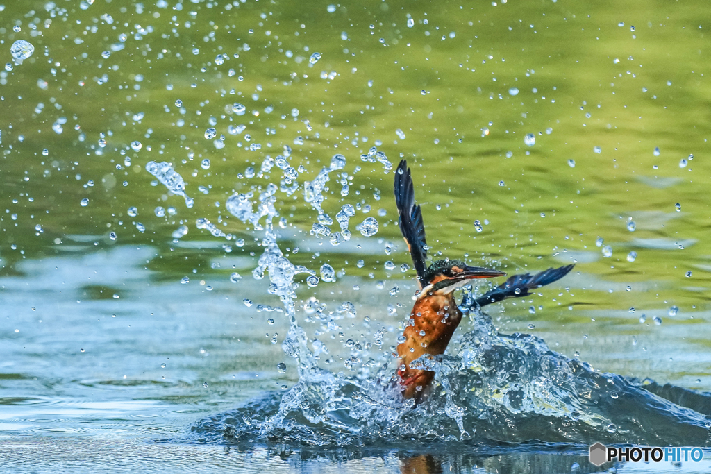 いつもの公園「ラララ」
