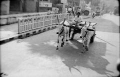 1979年、南インド　マドラス　７－５「牛車」