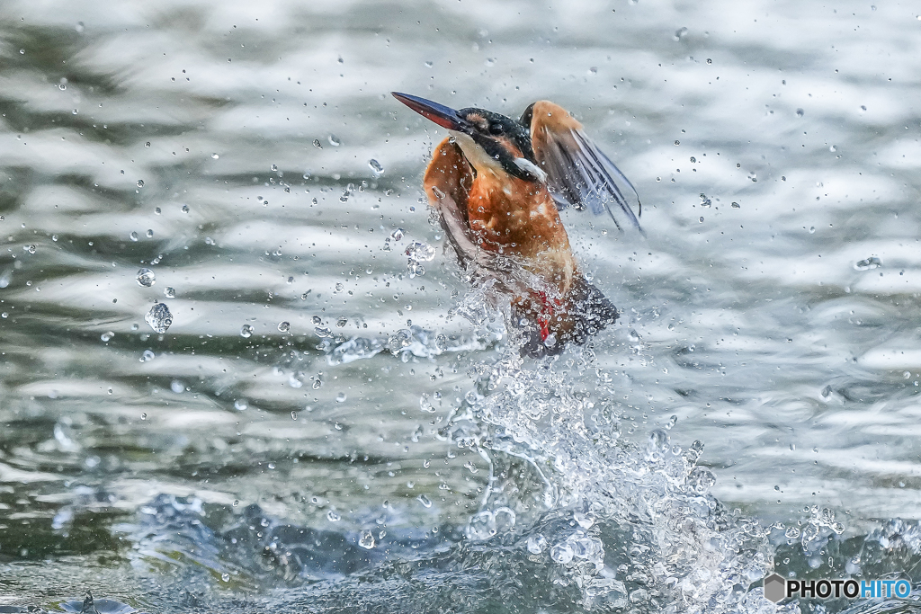 いつもの公園「ジェット推進」