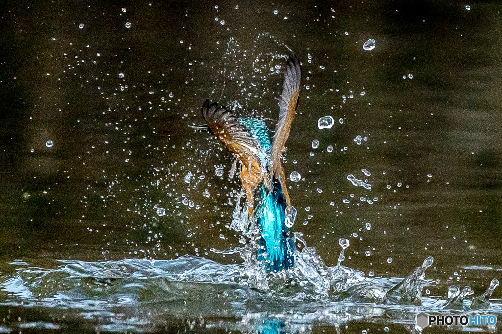 いつもの公園「水光」（２）
