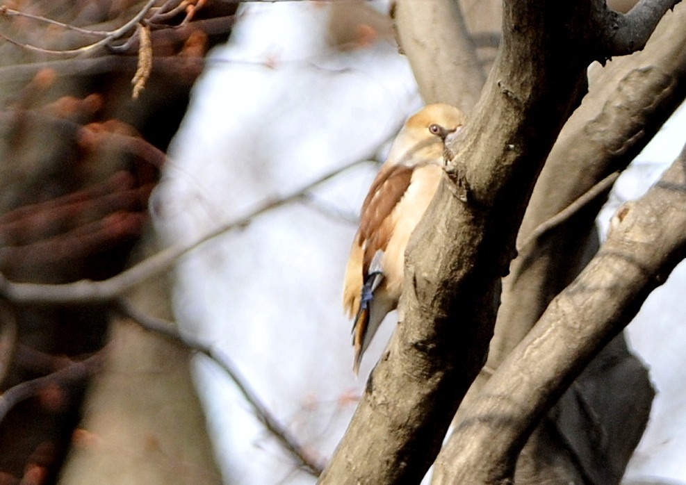 隣町の公園「半分だけシメ」