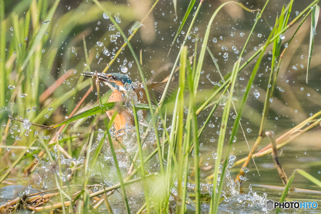 いつもの公園「G難度」（２）