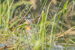 いつもの公園「G難度」（２）
