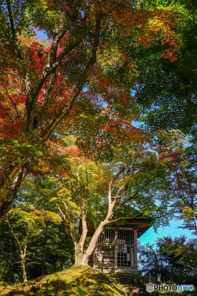 茅葺釣鐘堂、彩色　中尊寺