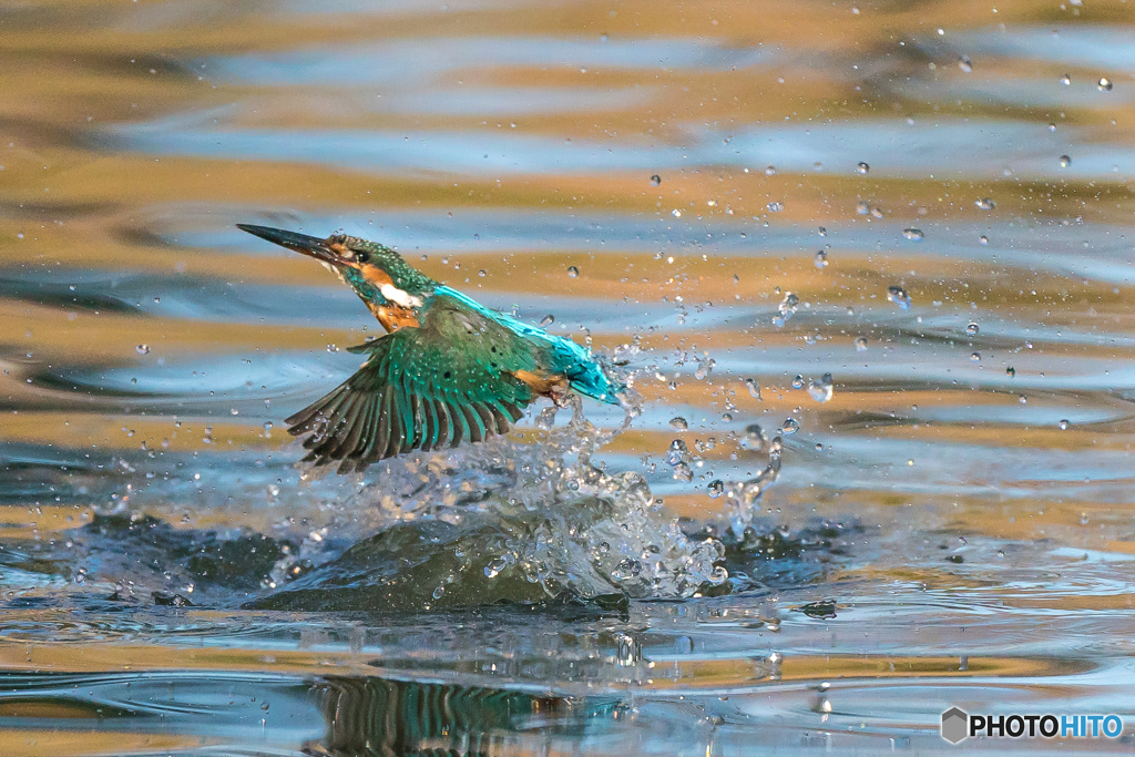 いつものッ公園「採光の水」（２）