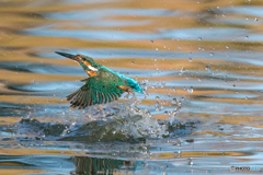 いつものッ公園「採光の水」（２）