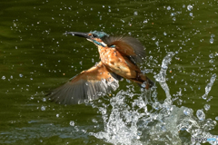 いつもの公園「機械力」（３）