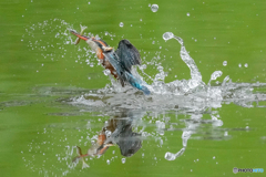 いつもの公園「緑水」