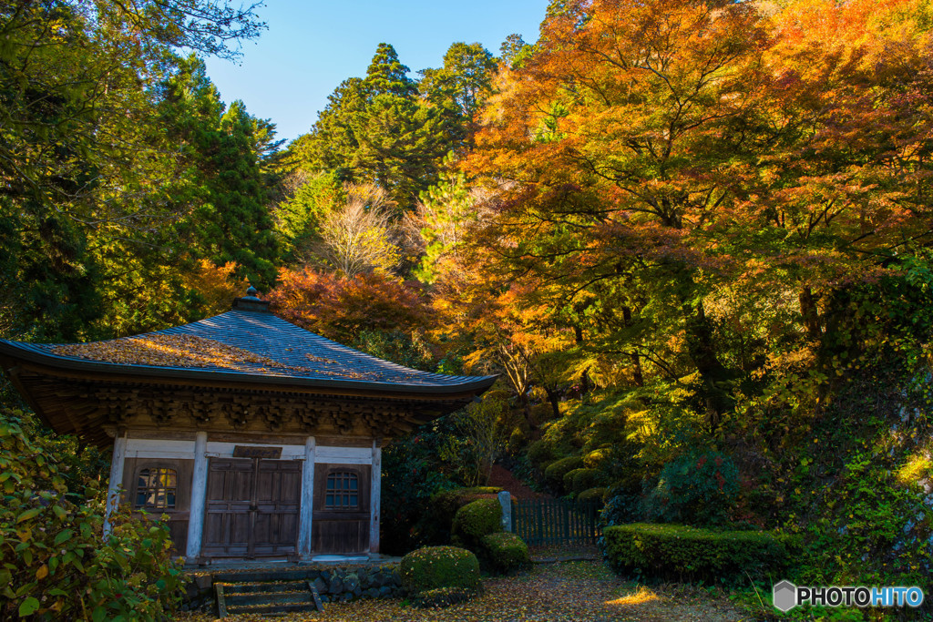 錦秋雲巌寺（２）