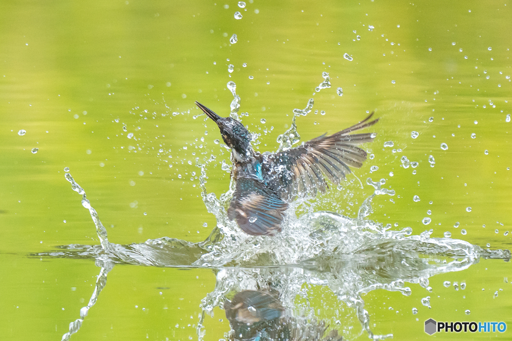 いつもの公園「水飾り」（１）
