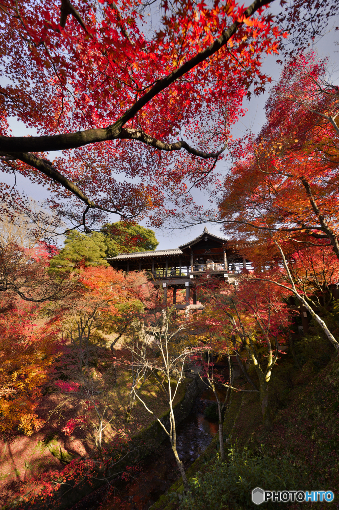 東福寺晩秋「通天橋」