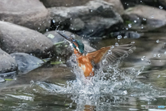 いつもの公園「光、求めて」