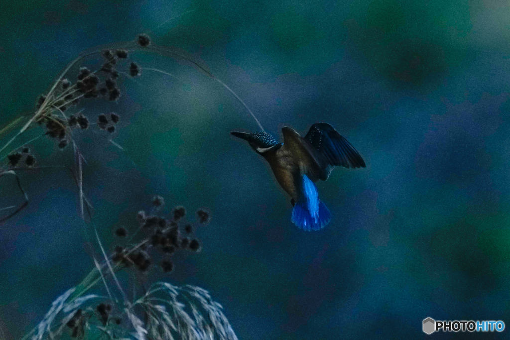 いつもの公園「陰」