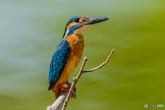 いつもの公園「テラス前」