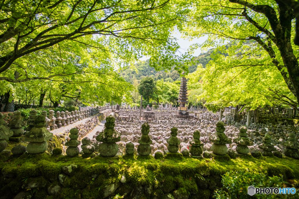 緑陰の念仏（３）