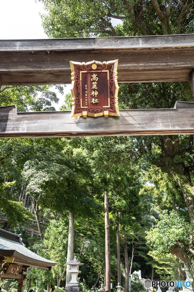 高麗神社参拝「白木鳥居」